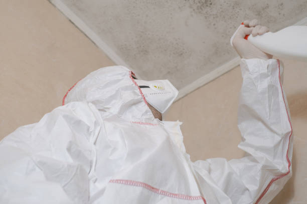 Best Mold Damage Repair  in Santa Nella, CA